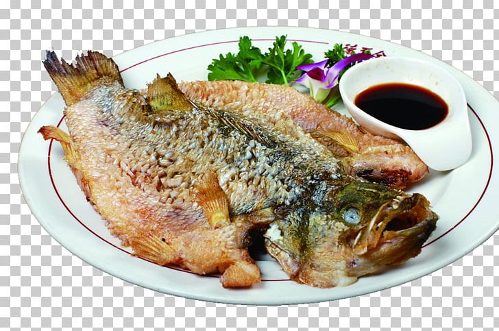 Fried Fish Scale PNG, Clipart, Animal Source Foods, Balance Scale, Bass, Bass Guitar, Cuisine Free PNG Download