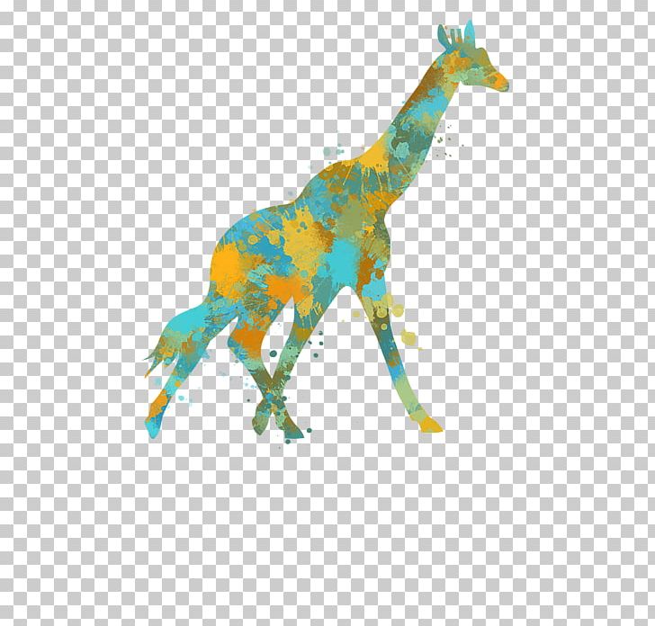 Giraffes Can't Dance Drawing The White Giraffe PNG, Clipart, Drawing, Giraffes, The White Giraffe, Watercolor Free PNG Download