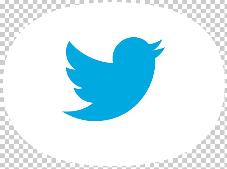 YouTube Social Media Logo PNG, Clipart, Beak, Bird, Computer Wallpaper, Leopard Skin, Logo Free PNG Download