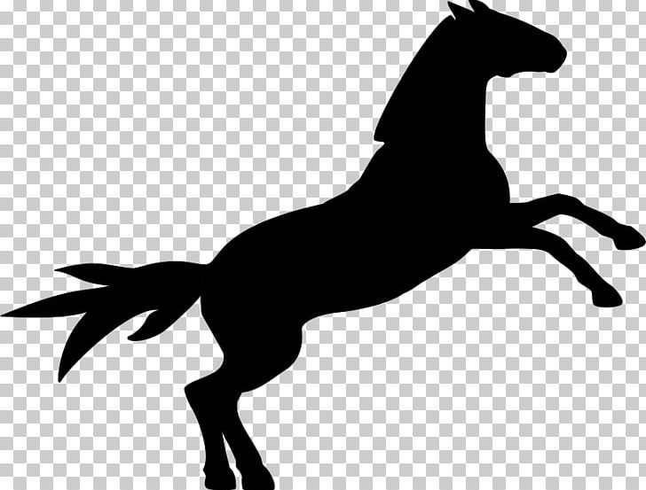 Horse PNG, Clipart, Animals, Black, Black And White, Collection, Colt Free PNG Download