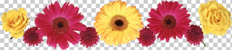 Flower Border Flower Background Floral Line PNG, Clipart, Cut Flowers, Eye, Floral Line, Flower, Flower Background Free PNG Download