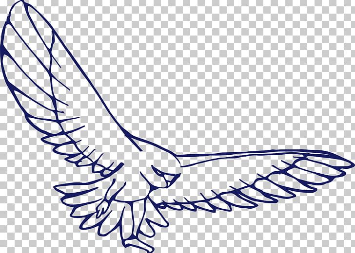 Bird Drawing Eagle PNG, Clipart, Angel Wing, Area, Arm, Art, Bird Free PNG Download