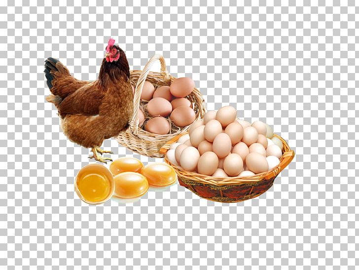 Chicken Egg Poster Advertising PNG, Clipart, Advertising, Banner, Broken Egg, Chicken, Chicken Egg Free PNG Download
