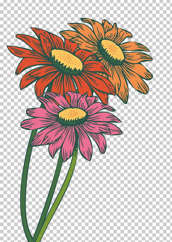 Common Daisy Transvaal Daisy Common Sunflower Chrysanthemum PNG, Clipart, Daisy Family, Flower, Flower Arranging, Flowers, Gerbera Flower Watercolor Free PNG Download
