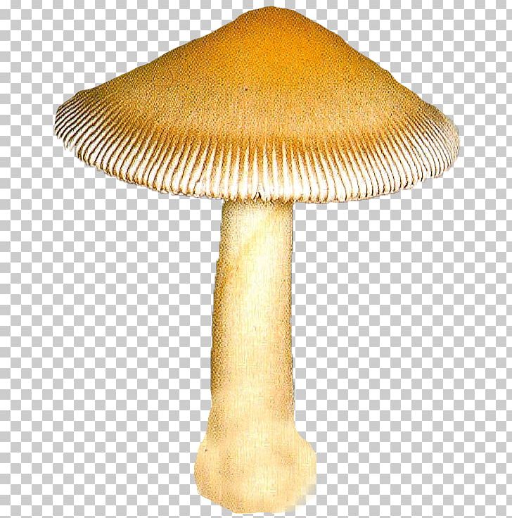 Mushroom 2403 (عدد) 2404 (عدد) PNG, Clipart, Amanita, Email, Fungus, Mailru Llc, Mantar Free PNG Download