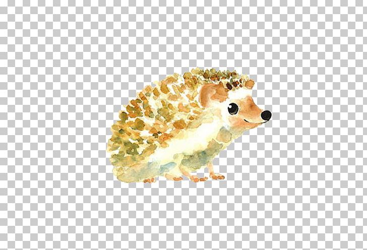 Hedgehog Drawing Art Painting Illustration PNG, Clipart, Animals, Carnivoran, Cartoon, Color, Cuteness Free PNG Download