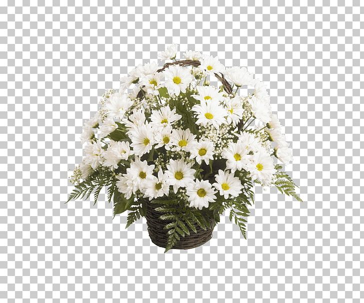 Marguerite Daisy Floral Design Chrysanthemum Cut Flowers Transvaal Daisy PNG, Clipart, Argyranthemum, Aster, Basket, Breath, Chrysanthemum Free PNG Download