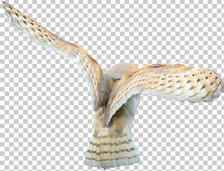 Owl PNG, Clipart, Animals, Free, Owl Png, Owls Free PNG Download