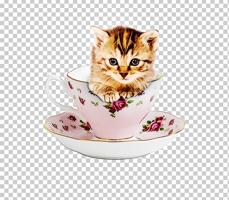 Coffee Cup PNG, Clipart, Ceramic, Coffee, Coffee Cup, Coffeecyan, Cup Free PNG Download