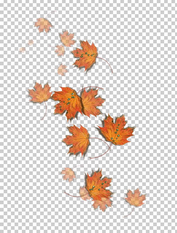 Autumn Fungus Leaf Pileus PNG, Clipart, 2016, Art, Autumn, Autumn Leaf Color, Fall Free PNG Download