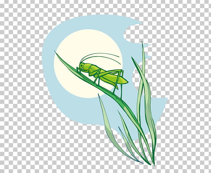 cricket bat euclidean png clipart artificial grass batting cartoon grass circle creative grass free png download cricket bat euclidean png clipart