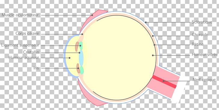 Eye Line Material PNG, Clipart, Angle, Area, Circle, Diagram, Eye Free PNG Download