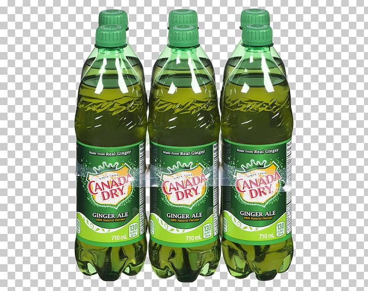 Fizzy Drinks Ginger Ale Sprite Carbonated Water Coca-Cola PNG, Clipart, Ale, Bottle, Canada Dry, Carbonated Water, Cocacola Free PNG Download