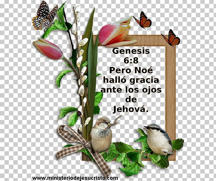 Flower Portable Network Graphics Text PNG, Clipart, Artificial Flower, Beak, Bird, Fauna, Flora Free PNG Download