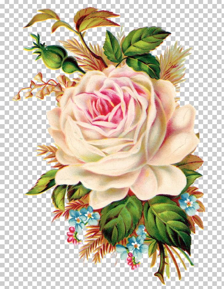 Rose Art PNG, Clipart, Art, Black And White, Black Rose, Botanical, Clip Art Free PNG Download