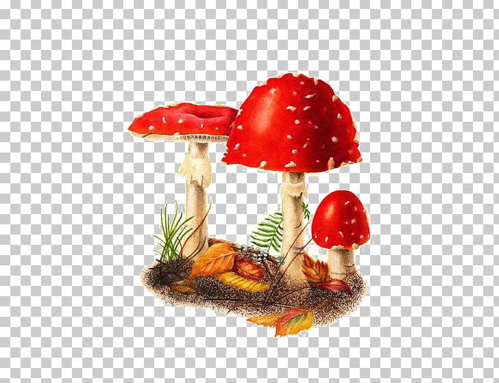 Amanita Muscaria Edible Mushroom Watercolor Painting PNG, Clipart, Amanitaceae, Buckle, Common Mushroom, Drawing, Edible Mushroom Free PNG Download