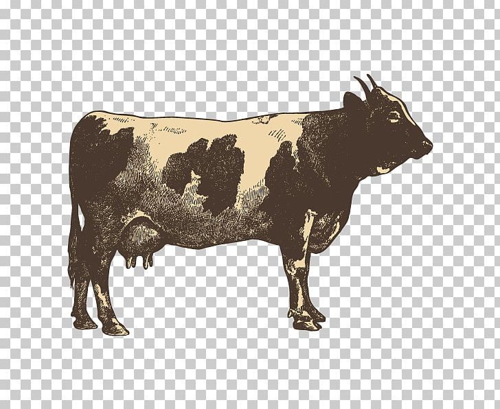 Beef Cattle Barbecue Taco Beefsteak PNG, Clipart, Barbecue, Beef, Beef Cattle, Beefsteak, Blandford Free PNG Download