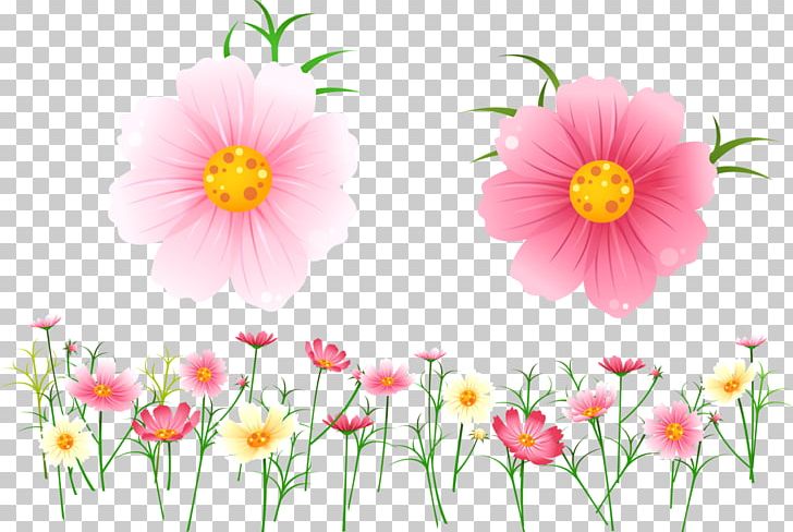 Flower Floral Design Drawing PNG, Clipart, Annual Plant, Art, Blossom, Cartoon, Cosmos Free PNG Download