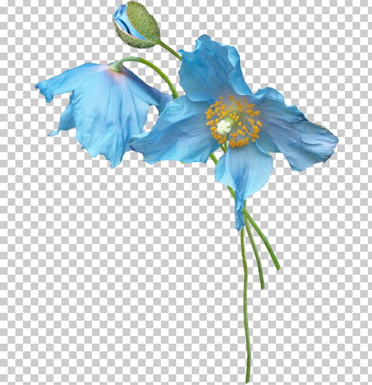Petal Blue Flower Plant Stem PNG, Clipart, Artificial Flower, Balloon Cartoon, Blossom, Blue, Bud Free PNG Download