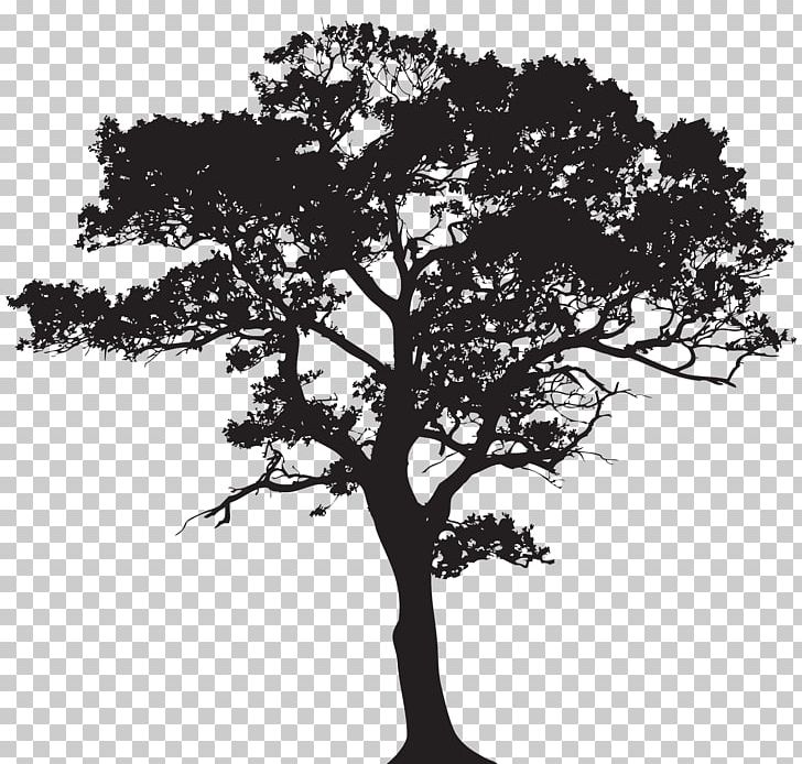 Tree Silhouette PNG, Clipart, Black And White, Branch, Clip Art, Clipart, Encapsulated Postscript Free PNG Download
