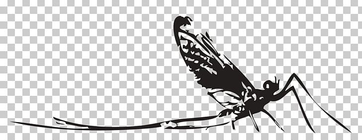 Butterfly Mosquito Nymph Insect PNG, Clipart, Art, Arthropod, Artificial Fly, Baetis, Black And White Free PNG Download