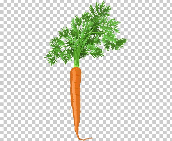 Carrot PNG, Clipart, Animated Film, Art, Art Is, Carrot, Clip Free PNG Download
