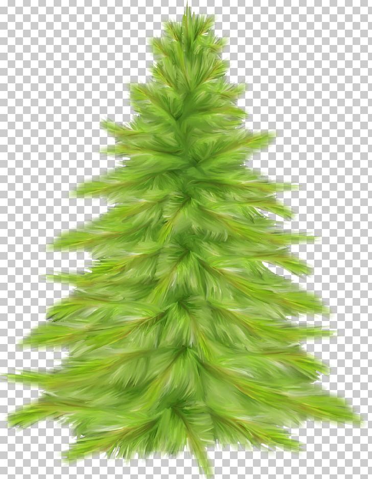 Christmas Tree Fir Spruce PNG, Clipart, Christmas Decoration, Christmas Ornament, Christmas Tree, Conifer, Conifers Free PNG Download