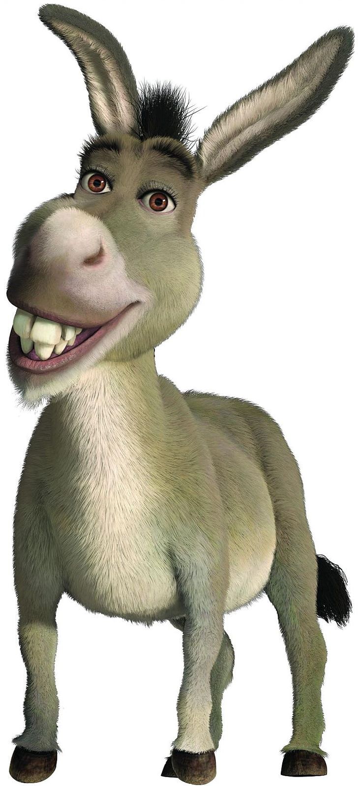 Donkey Shrek The Musical Princess Fiona Shrek Film Series PNG, Clipart, Animal Figure, Animals, Cow Goat Family, Donkey, Eddie Murphy Free PNG Download