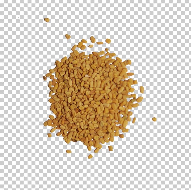 Indian Cuisine Spice Seed Herb Fenugreek PNG, Clipart, Black Pepper, Cereal Germ, Cinnamon, Commodity, Duqqa Free PNG Download