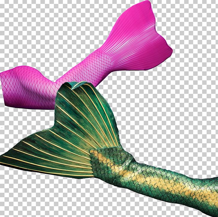 Mermaid Merman Monofin Tail Perth PNG, Clipart, Clothing Accessories, Fantasy, Fashion Accessory, Fin, Hair Free PNG Download