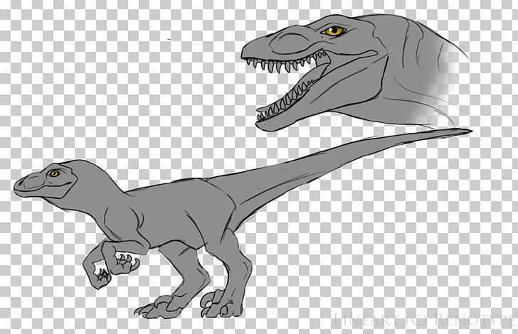 Velociraptor Tyrannosaurus Dinosaur Drawing PNG, Clipart, Albertosaurus, Contemporary Art, Deviantart, Dinosaur, Drawing Free PNG Download
