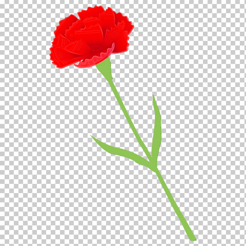 Flower Plant Red Carnation Plant Stem PNG, Clipart, Carnation, Cut Flowers, Flower, Paint, Pedicel Free PNG Download