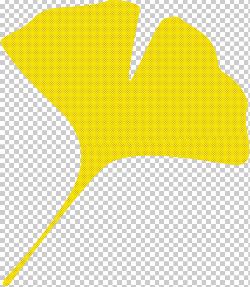 Ginkgo Leaf Gingko Leaf Maidenhair Leaf PNG, Clipart, Gingko Leaf, Ginkgo Biloba Leaf, Ginkgo Leaf, Leaf, Line Free PNG Download