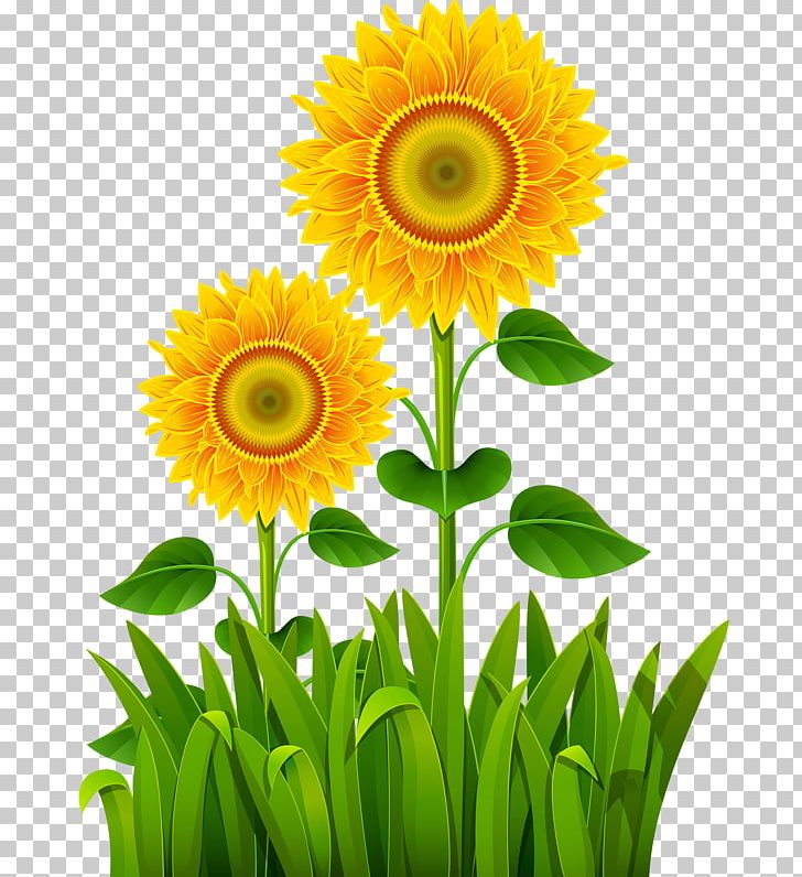 Logo Sunflower Plant Stem PNG, Clipart, Annual Plant, Art, Can Stock Photo, Cut Flowers, Daisy Family Free PNG Download