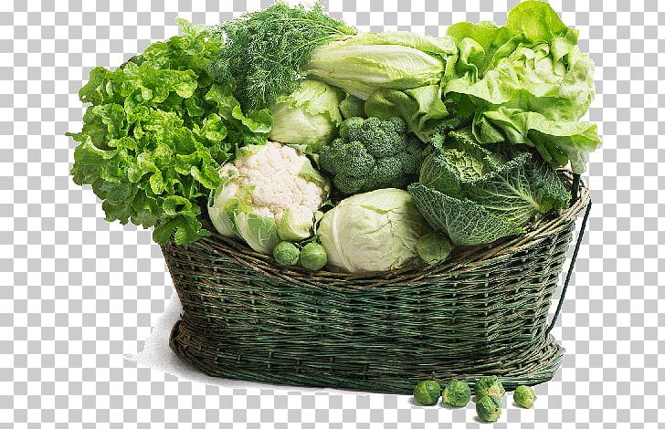 Leaf Vegetable Food Beetroot Diet PNG, Clipart, Bean, Broccoli, Brussels Sprout, Cabbage, Cruciferous Vegetables Free PNG Download