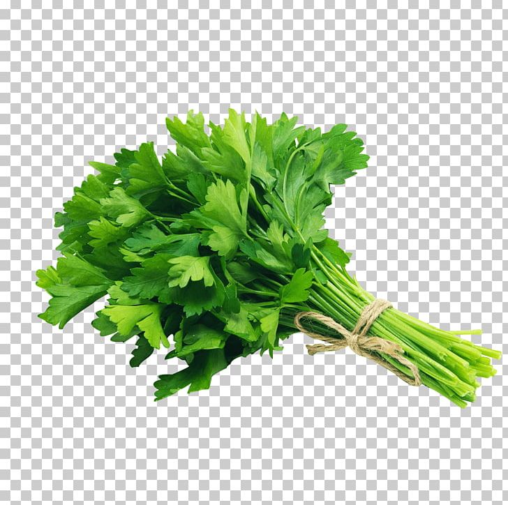 Organic Food Parsley Vegetable Herb Grocery Store PNG, Clipart, Celery, Coriander, Dried Fruit, Flavor, Food Free PNG Download