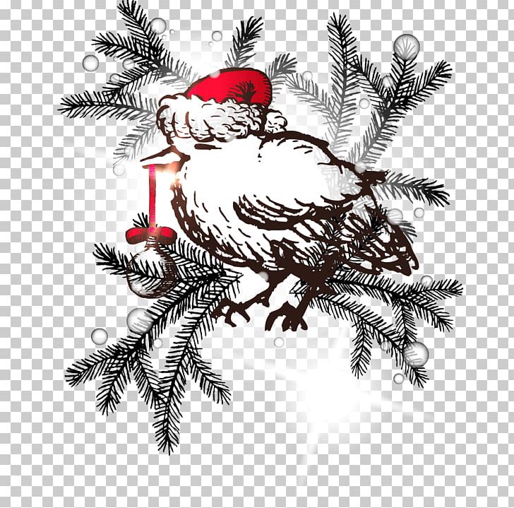 Bird Christmas Drawing PNG, Clipart, Animals, Art, Ball, Balloon Cartoon, Bird Free PNG Download
