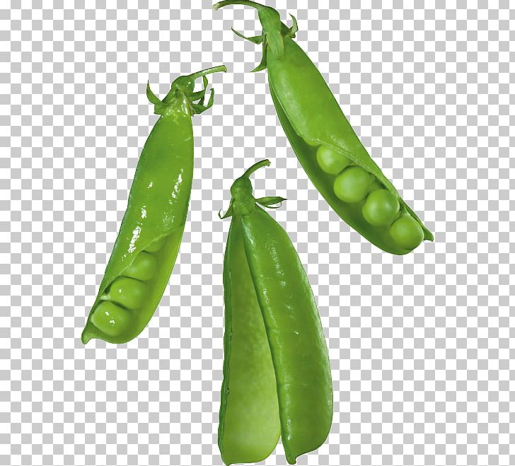 Snap Pea Silique PNG, Clipart, Bean, Bell Peppers And Chili Peppers, Butterfly Pea, Chili Pepper, Food Free PNG Download