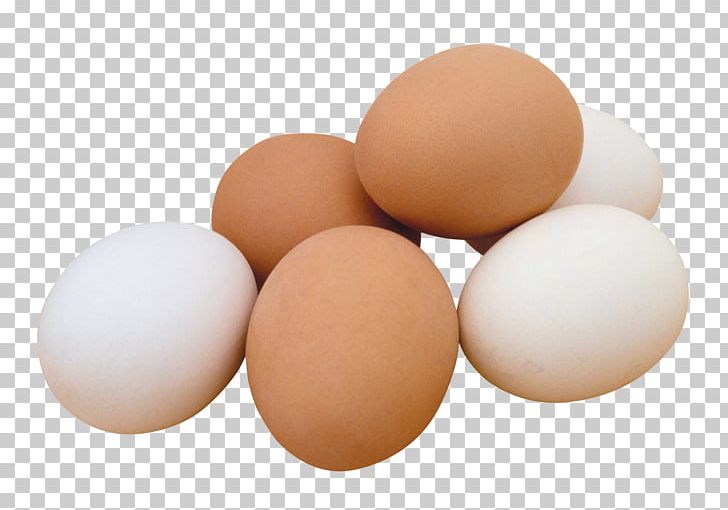 Chicken Egg PNG, Clipart, Animals, Bacon And Eggs, Chicken, Chicken Egg, Egg Free PNG Download