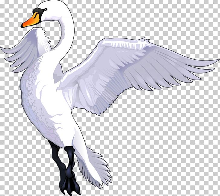 Drawing Cartoon PNG, Clipart, Animal, Art, Beak, Bird, Cartoon Free PNG Download