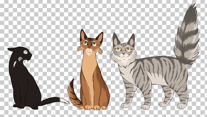 Kitten Whiskers Tabby Cat Warriors PNG, Clipart, Animal, Animals, Art, Carnivoran, Cartoon Free PNG Download