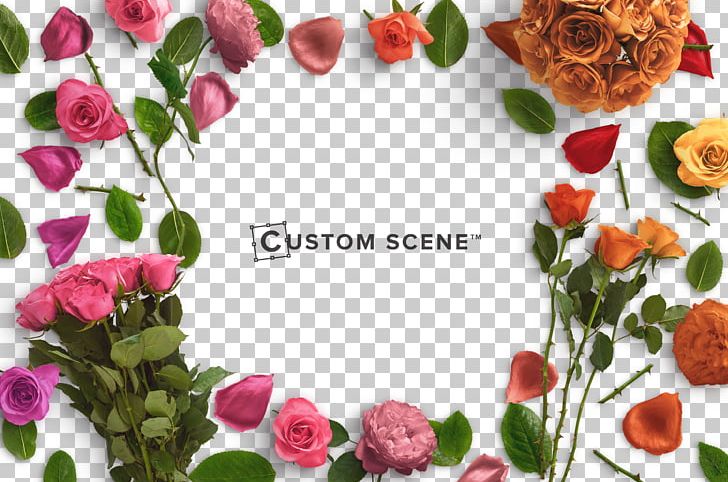 Flower Stock Photography Rose Petal PNG, Clipart, Artificial Flower, Background, Creative Market, Cut Flowers, Decoration Free PNG Download