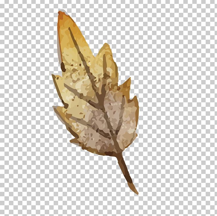Leaf PNG, Clipart, Artworks, Elements Vector, Fall Leaves, Happy Birthday Vector Images, Illustrator Free PNG Download
