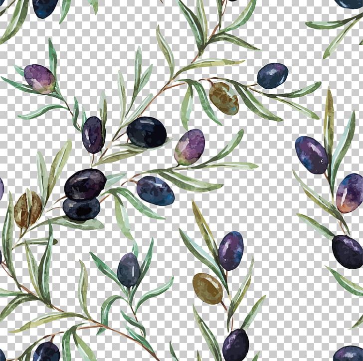 Watercolor Painting Olive Oil Illustration PNG, Clipart, Bilberry, Branch, Cartoon Hand Painted, Flower, Flowers Free PNG Download