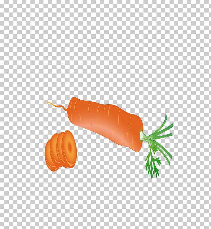 Carrot PNG, Clipart, Carrot, Carrots, Carrots Vector, Download, Encapsulated Postscript Free PNG Download