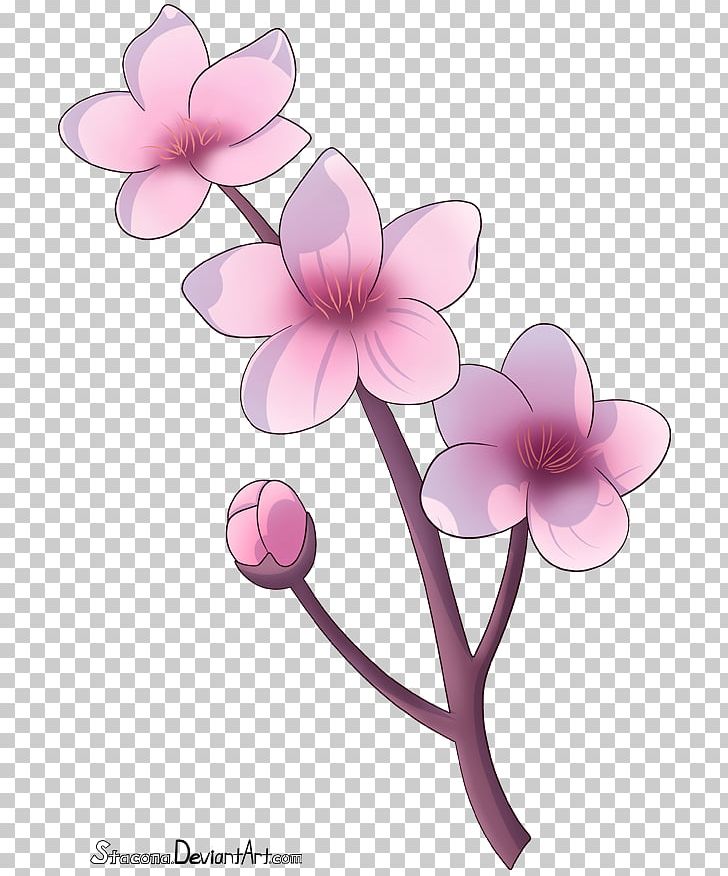 Cherry Blossom Drawing Flower Petal PNG, Clipart, Art, Blossom, Branch, Cherry, Cherry Blossom Free PNG Download