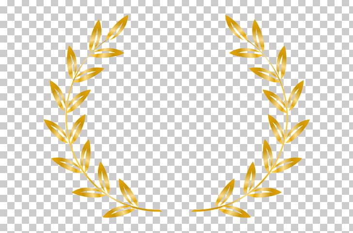 Short Film Award Television Film Festival PNG, Clipart, Art, Award, Branch, Carbonate, Commodity Free PNG Download