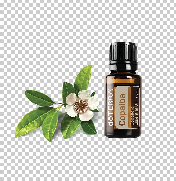 Essential Oil DoTERRA Serenity Restful Complex Softgels Copaiba PNG, Clipart, Aroma Compound, Copaiba, Doterra, Essential Oil, Frankincense Free PNG Download