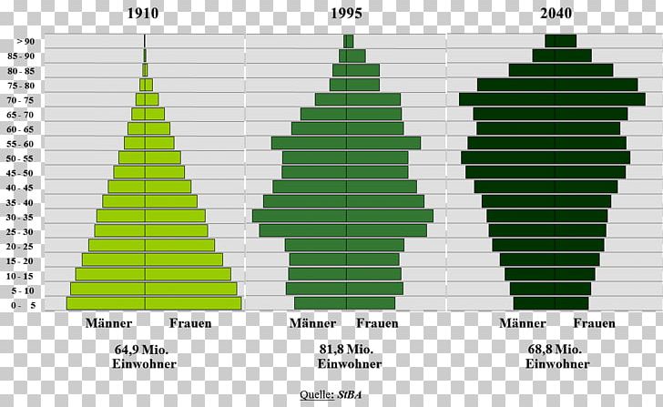 Fir Spruce Christmas Tree Green Angle PNG, Clipart, Angle, Christmas, Christmas Tree, Cone, Conifer Free PNG Download