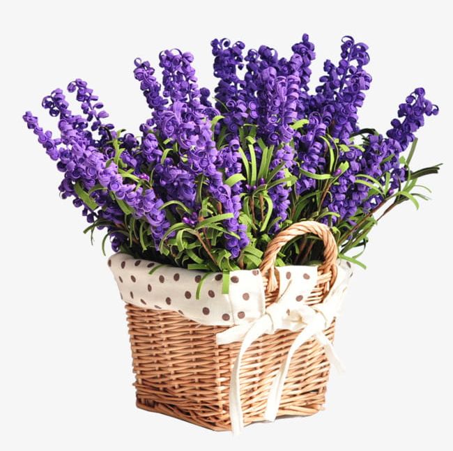 Lavender Flower Baskets PNG, Clipart, Bamboo Basket, Bamboo Baskets, Basket, Baskets, Flower Free PNG Download